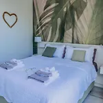 Palm Tree By Villa Soleros Gay Friendly Adult Only